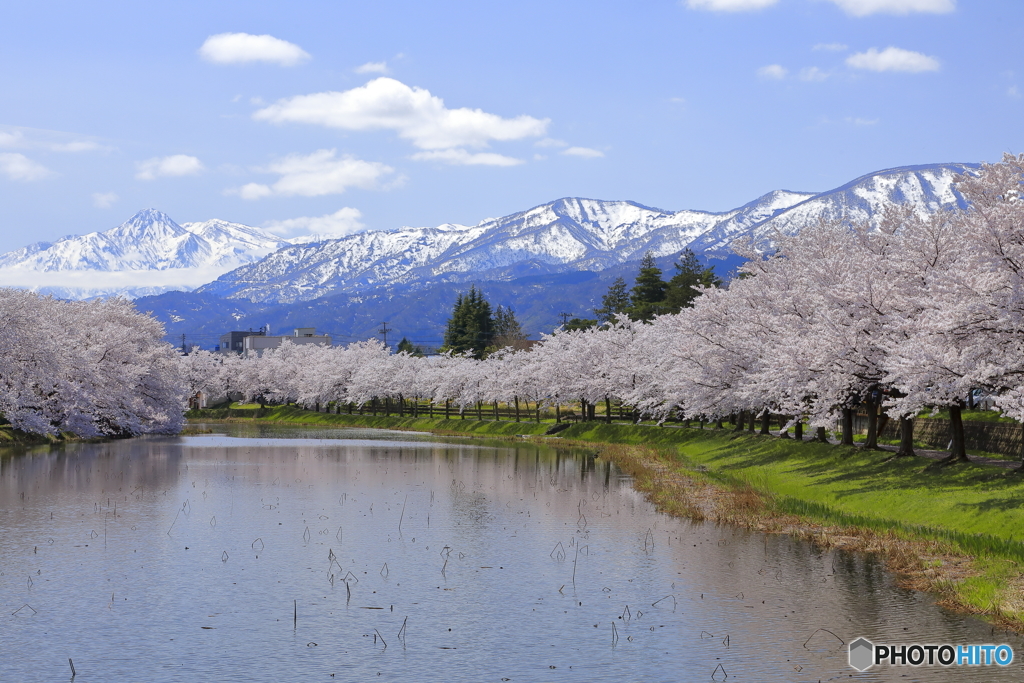 高田公園