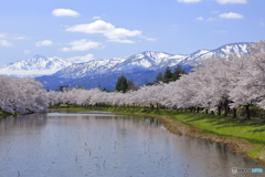 高田公園