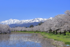 高田公園