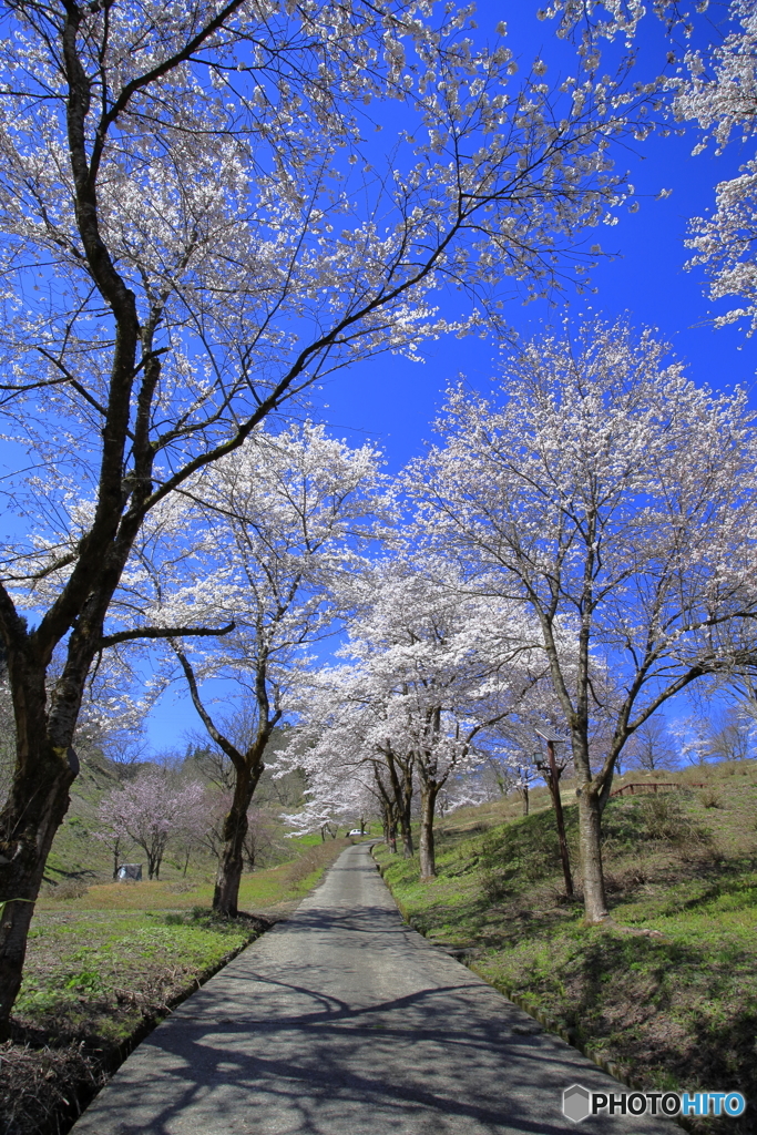 浦川原ふるさと公園_FD-2