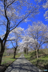 浦川原ふるさと公園_FD-2