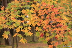 松雲山荘