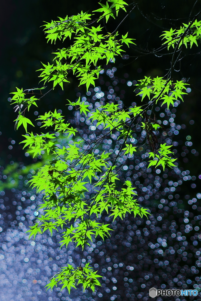 加茂山公園