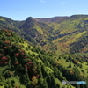 横手山付近