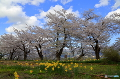飯山城址