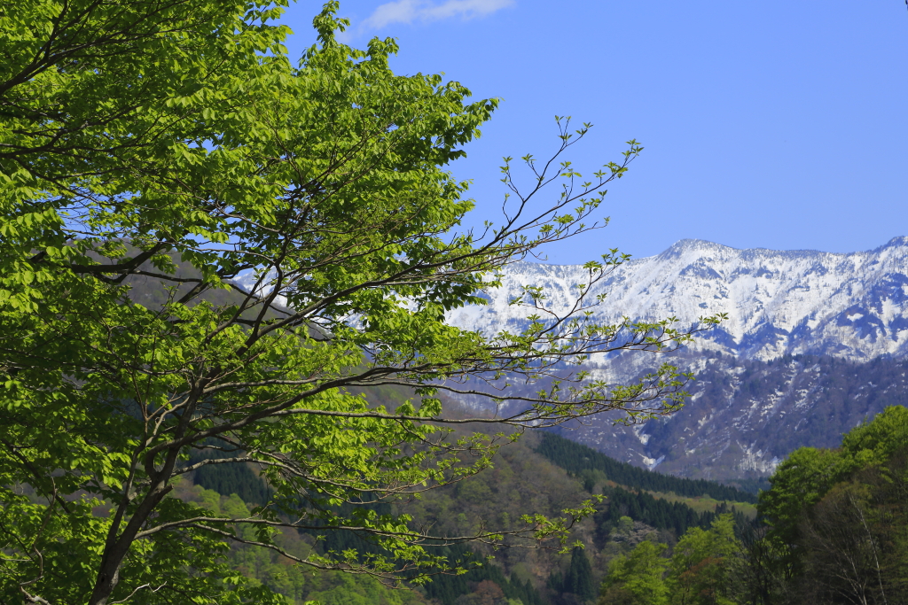 新緑の秋山郷-3