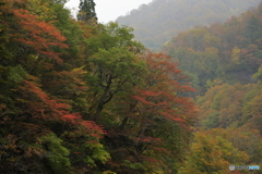 秋山郷