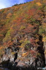 津南町_前倉橋