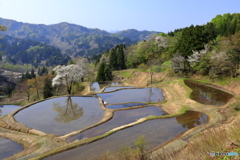 儀明の棚田