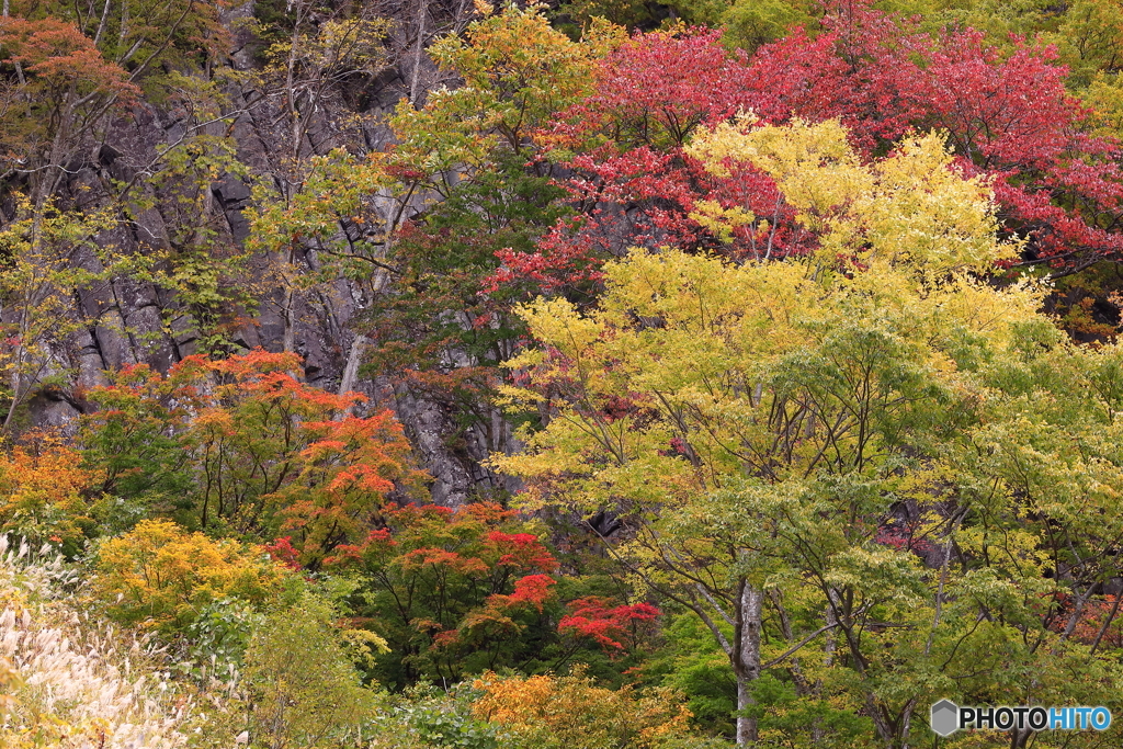秋山郷_布岩