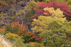 秋山郷_布岩