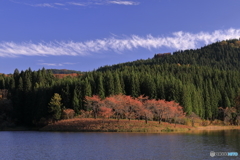 中子の桜・・・の紅葉