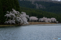 風・・・ホントにキライ