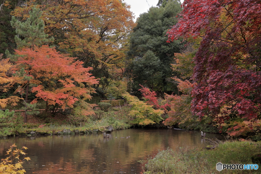 赤坂山公園-3