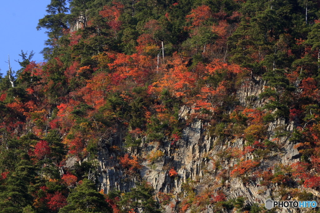 秋山郷8