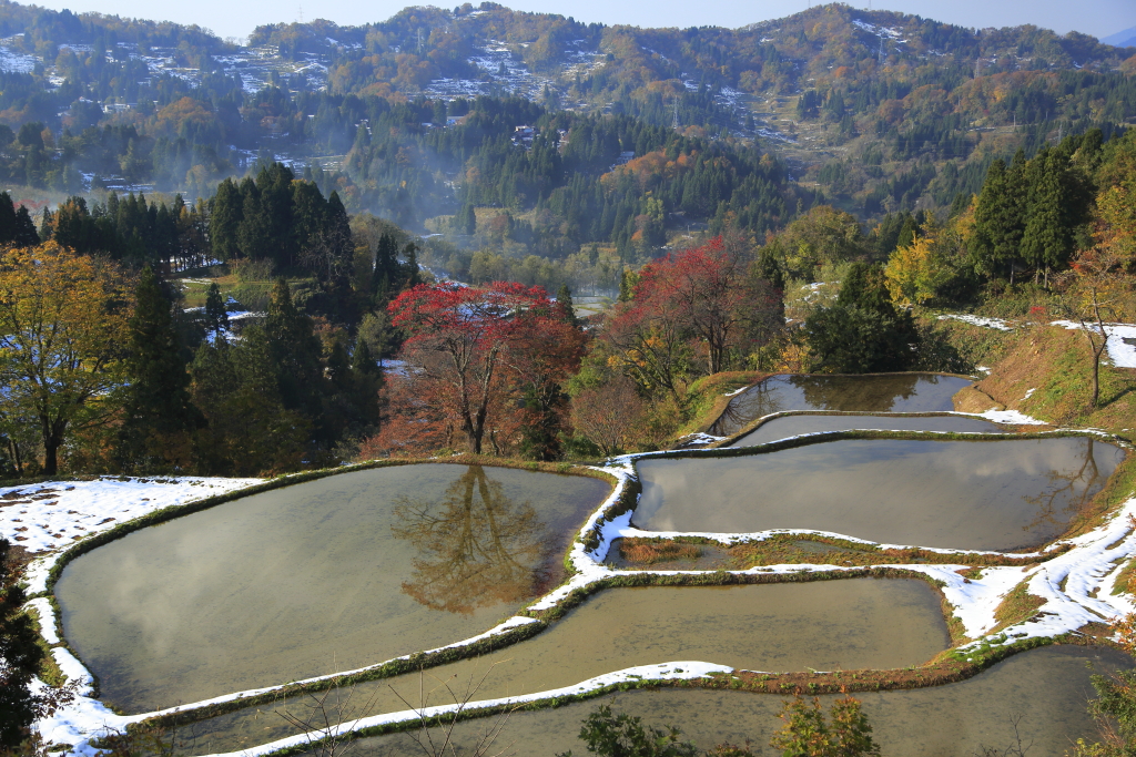 儀明の棚田　(紅葉＆初雪)