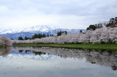 高田公園