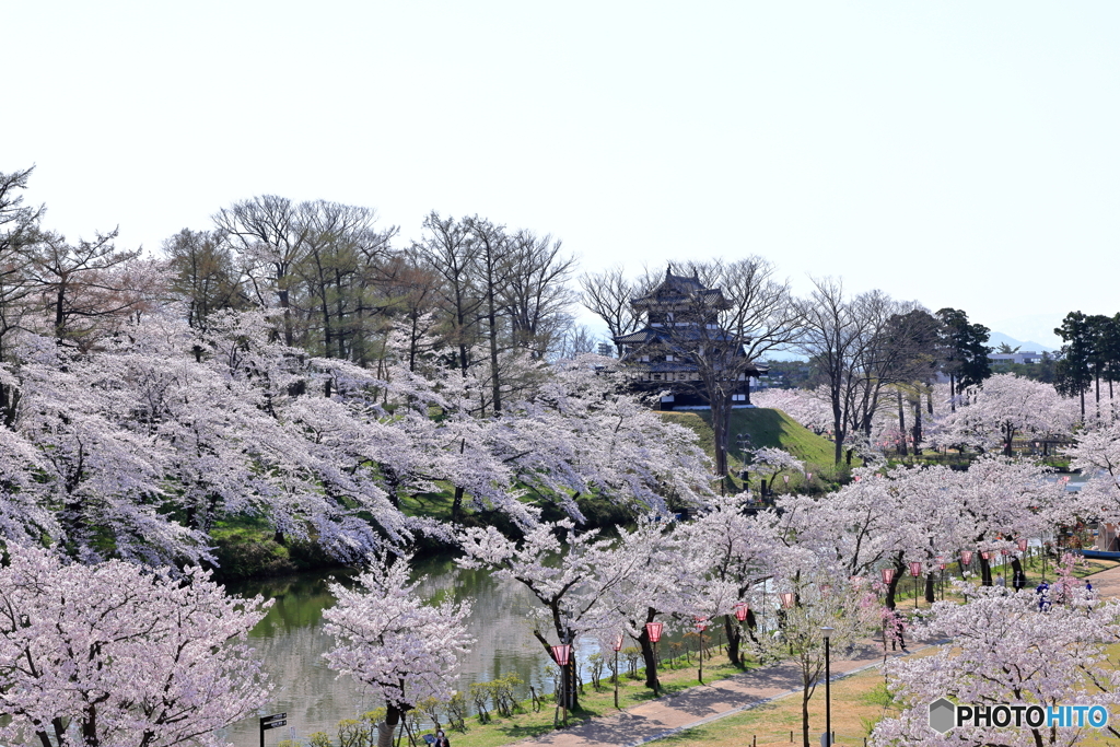 高田城址公園-1