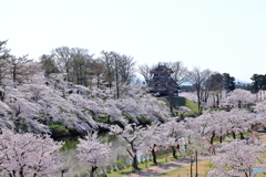 高田城址公園-1