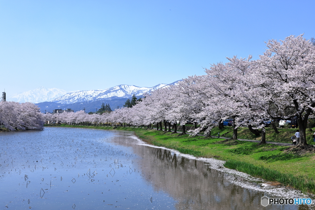 高田城址公園-2