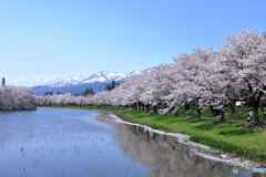 高田城址公園-2