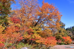 見玉公園