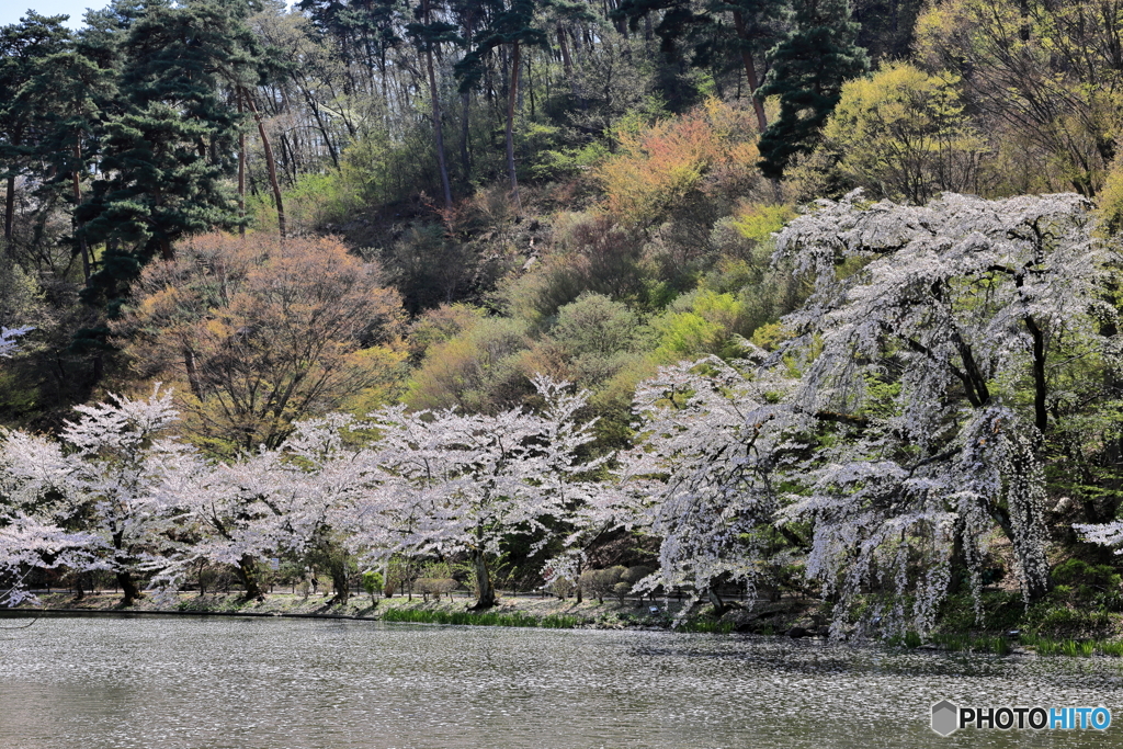 臥竜公園-2