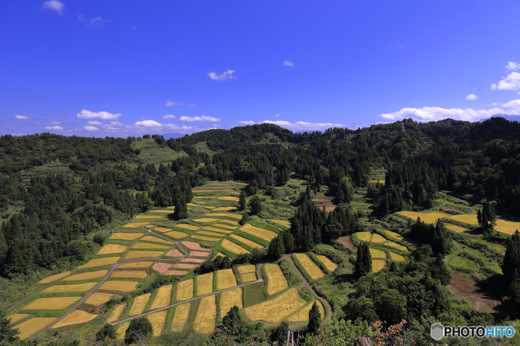 慶地の棚田