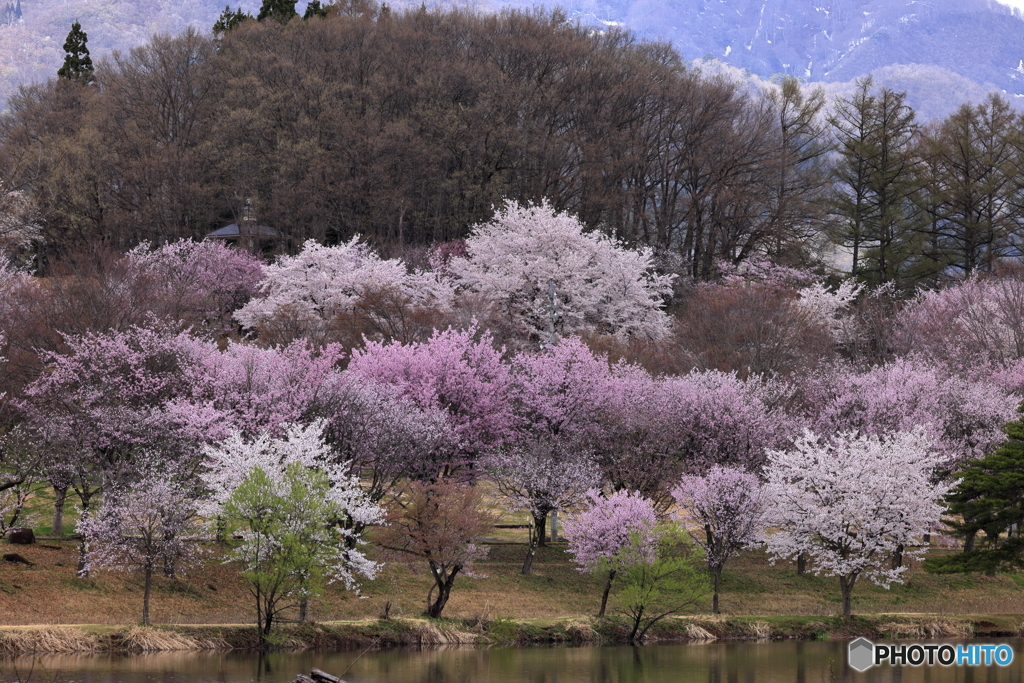 長峰スポーツ公園_20230408