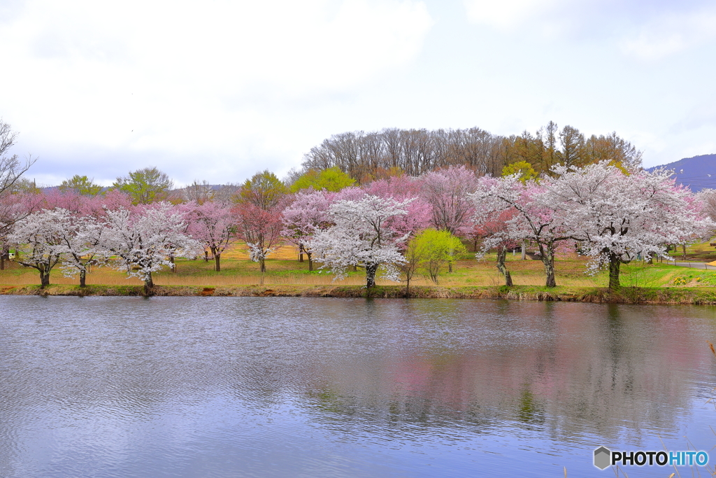 長峰運動公園