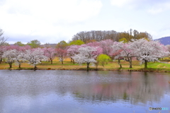 長峰運動公園