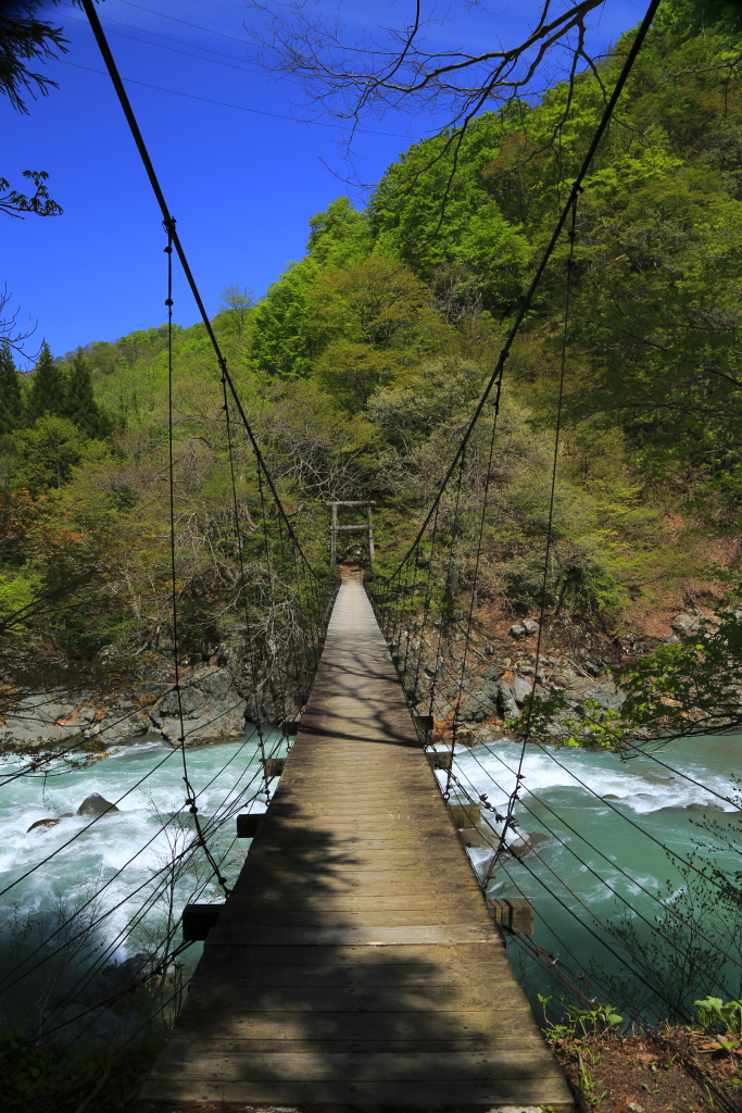 新緑の秋山郷-2