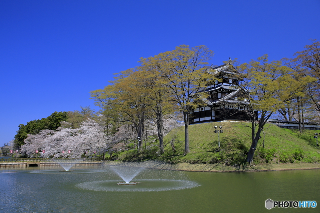 高田公園_FD-1