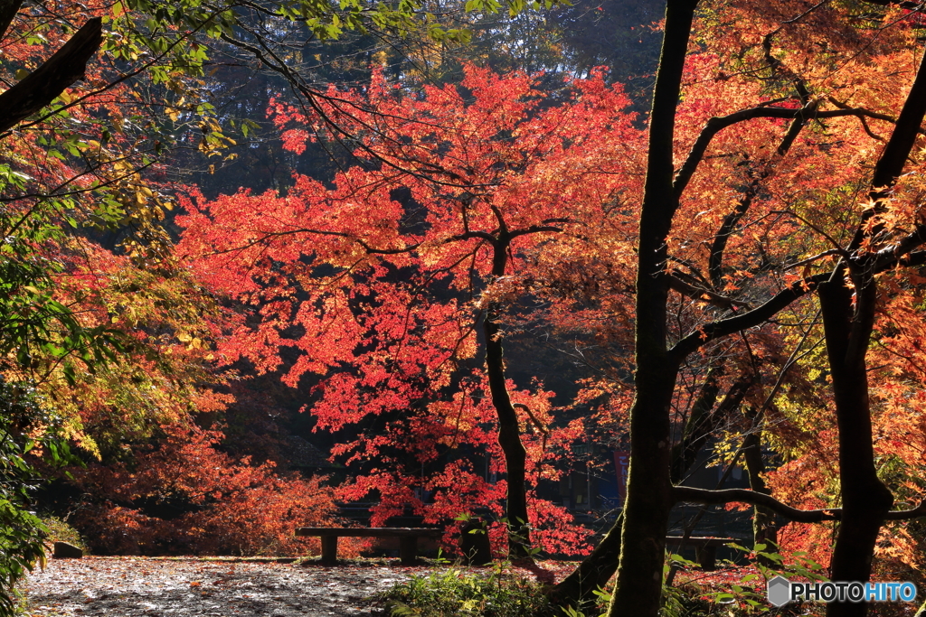 加茂山公園-3