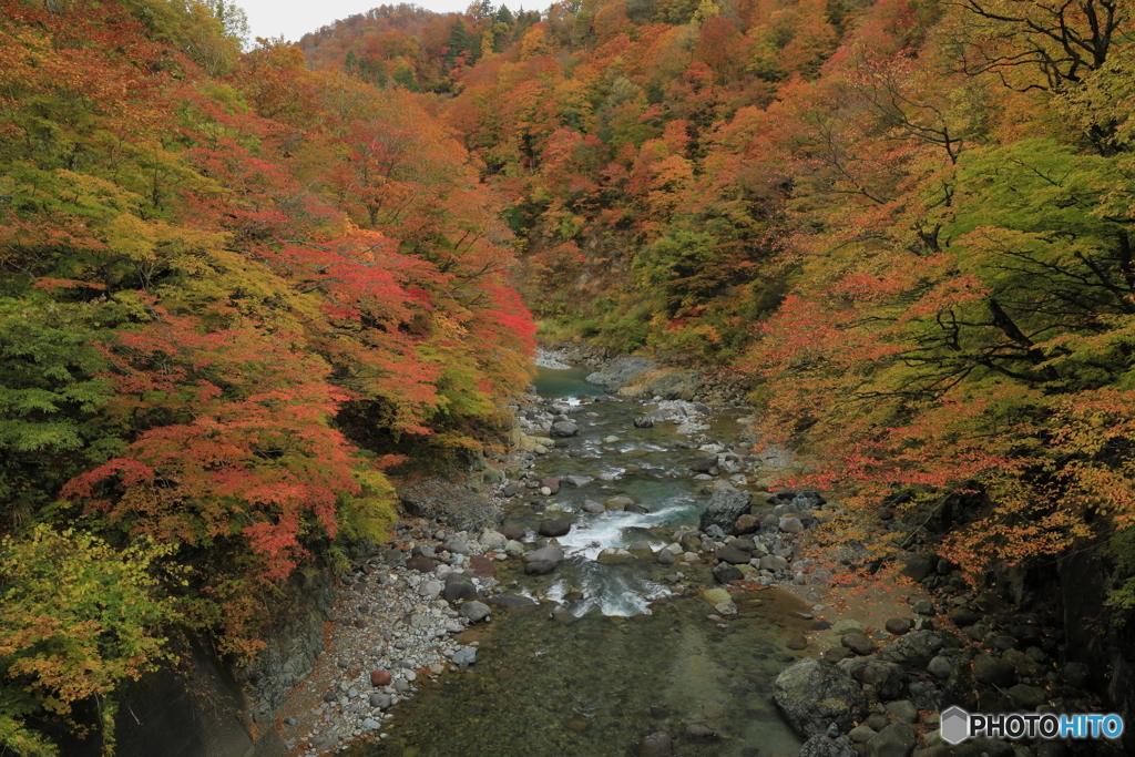 秋山郷_前倉橋
