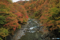 秋山郷_前倉橋