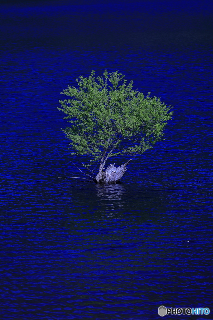 北竜湖