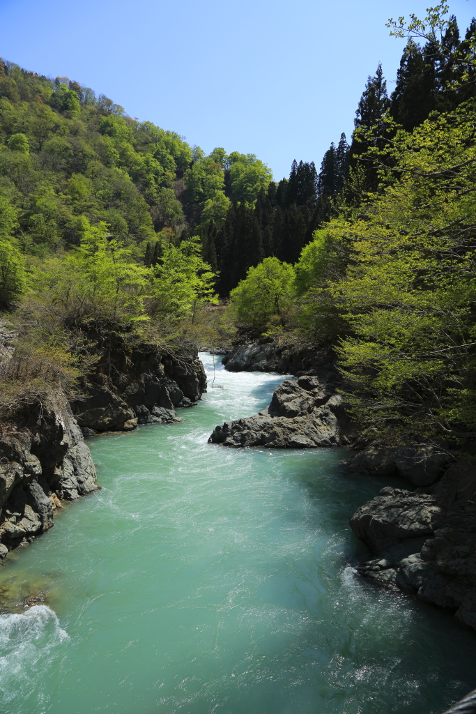 新緑の秋山郷