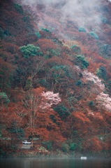 京都嵐山