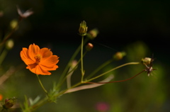 初撮影☆川辺で