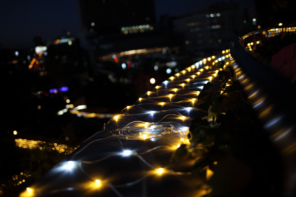 難波PARKS　光－２