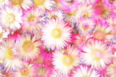 artificial flowers