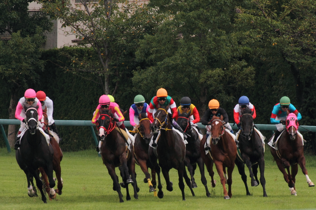 競馬　第４ｺｰﾅｰ