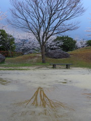 雨上がりの公園