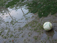 雨上がりの公園　サッカーボール