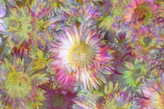  artificial flowers