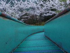 雨上がりの公園　滑り台