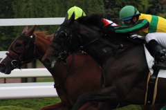 競馬　直線叩き合い