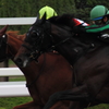 競馬　直線叩き合い