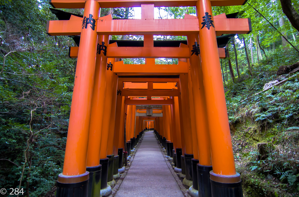 千本鳥居の先に・・・